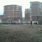 Dog Run Park at Carlyle