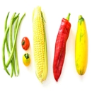 Greenlife Market - Health Food Restaurants