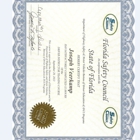 A Learn to Drive & Traffic School LLC