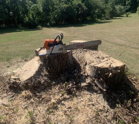 Stump Wrecker - Latham, NY. Stump Removal Wynantskill NY