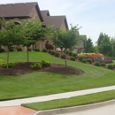 All American Lawn LLC - Landscaping & Lawn Services