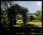 Greenleaf Photography/Greenleaf Promotions - Internet Marketing & Advertising