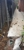 Mardini Concreting - Concrete Contractors
