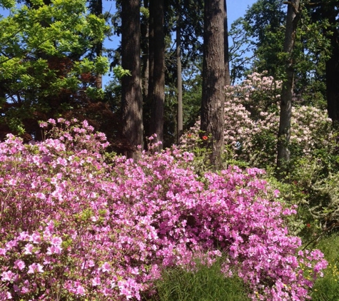 Hendricks Park - Eugene, OR