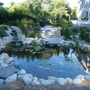 Normal Aquatics Aquarium & Pond Service