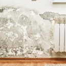 A Pro Home Inspection Services - Inspection Service