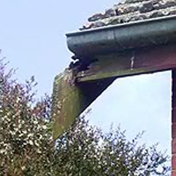 Gallery Image Number 5