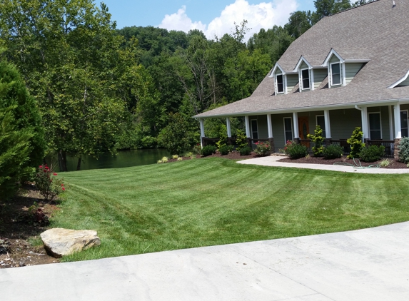 Brothers-in-lawn - Elizabethton, TN