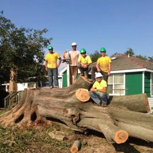 Louisiana Tree Company, LLC. - River Ridge, LA