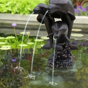 Gallery Image Number 5