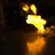 Hana Japanese Steak House