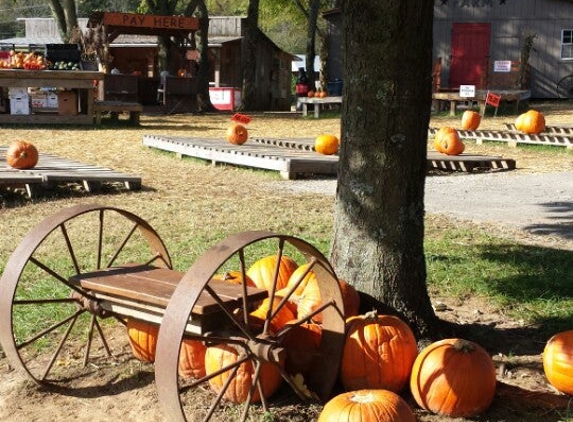 Walden Pumpkin Farm - Smyrna, TN