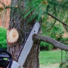 Aesthetic Tree Service, Inc. gallery