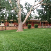 Gallery Image Number 4