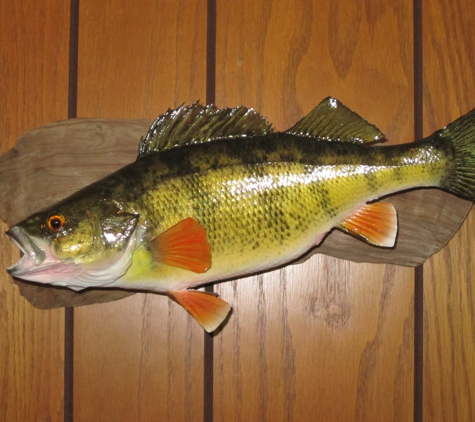 Stuff n' Fish Taxidermy - Osceola, WI