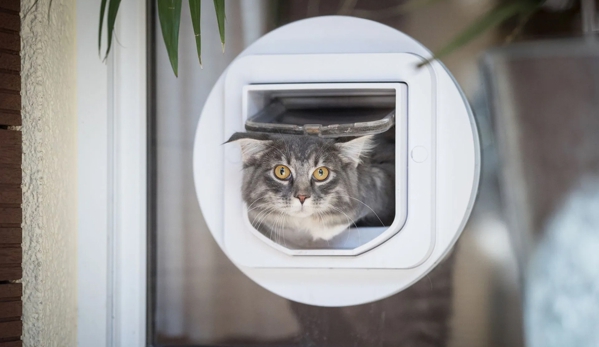Geelong Cat & Dog Doors - Rippleside, VIC