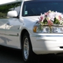 Airport Limousines and Sedan Service