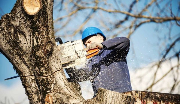 Arborall Tree Service - Flowery Branch, GA