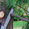 Miguel's Tree Service gallery