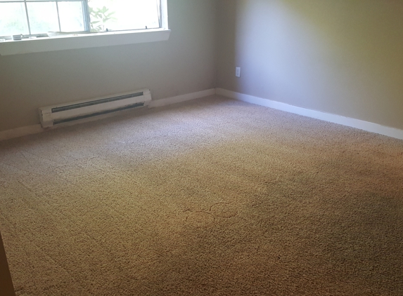 Affordable Carpet Cleaning - Seattle, WA