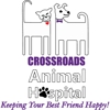 Crossroads Animal Hospital gallery