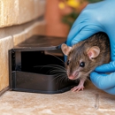 Arlington Exterminating - Pest Control Equipment & Supplies