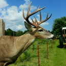 Freedom Outdoors & Taxidermy - Taxidermists