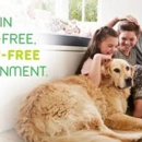 Green Pest Solutions - Pest Control Services