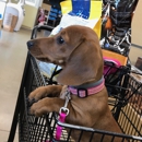 Puppy Love - Pet Stores