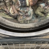 Sheridan Harlem Laundromat gallery