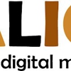 Calico Design & Digital Marketing gallery