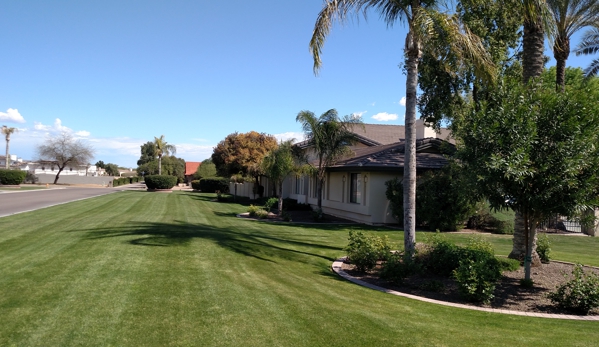 Sergio's Landscaping & Lawn Service - Phoenix, AZ