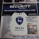 DELTA SECURITY SERVICES LLC - Security Guard & Patrol Service