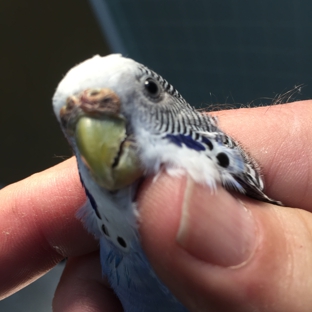 Sandalfoot  Animal Clinic And Bird Hospital - Boca Raton, FL