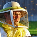 American Beekeeping - Bee Control & Removal Service