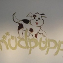 Mudpuppy KIds Resale - Consignment Service