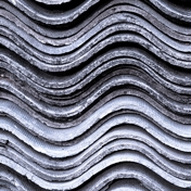 Gallery Image Number 5