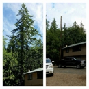 At the top tree service llc - Tree Service