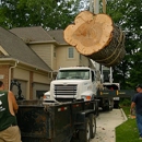 Oakland Tree Service - Stump Removal & Grinding