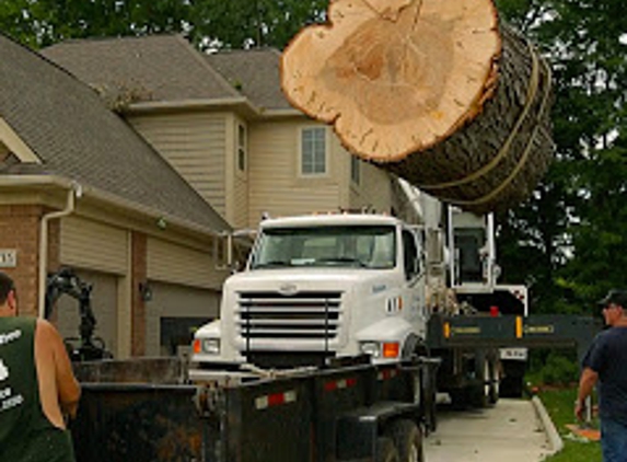 Oakland Tree Service - Rochester Hills, MI