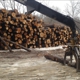 Penn Select Timber Inc.