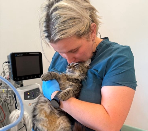Grange Veterinary Clinic
