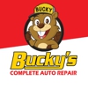 Bucky's Complete Auto Repair gallery