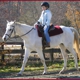 Stonehouse Equestrian, LLC