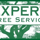 Expert Tree Service