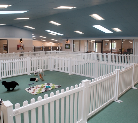 Bark Plaza Pet Hotel - Houston, MO