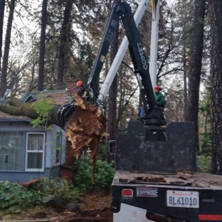 McMillan Tree Services - Chico, CA