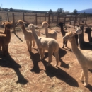 Hollywick Farms - Farms