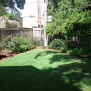 Mayday's Lawn and Pest Control - Fertilizing Services