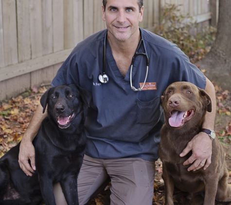 Longview Animal Hospital - Longview, TX